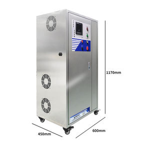 60 g/h source d'oxygène de haute qualité générateur d'ozone industriel éliminateur d'odeurs de fumée de voiture machines de traitement de l'eau - Product Image 3