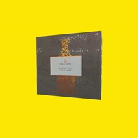 Boîte d'emballage pour gin avec insert en papier doré imprimé sur mesure, magnétique, fabriquée par STPP, pour coffret cadeau d'alcool avec verres