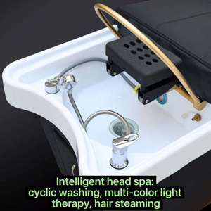 Hongtuo Leather Upholstered Metal Frame Salon Spa Massage <b>Bed</b> Fiberglass Basin Modern Design Removable Footrest High-Density - Product Image 6