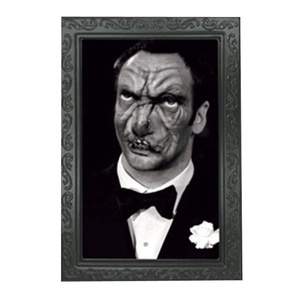 Affiches murales animées 5D personnalisées en plastique à impression <span class=keywords><strong>lenticulaire</strong></span> 3D, en PET, effet magique, vente en gros, directement de l'usine - Product Image 6