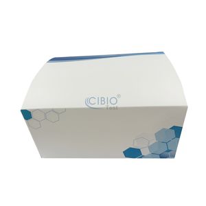 Etg Urine <span class=keywords><strong>Alcohol</strong></span> Uitgebreide 12 Stoffen Screendrugstest Voor Professioneel Gebruik - Product Image 4