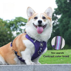 Kangdarpet Duplex Chest-back Medium to Large-sized <b>Dog</b>, Pull-up Chest-back Strap <b>French</b> <b>Bulldog</b> Corgi Comfortable <b>Dog</b> Leash - Product Image 5