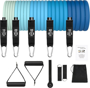 Juego de bandas de resistencia para hombres y mujeres, bandas de ejercicio de alta resistencia, ancla de puerta, tubos de fitness, equipo de ejercicio para el hogar, gimnasio, <span class=keywords><strong>fisio</strong></span> - Product Image 4