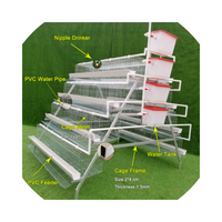 Cage à poules durable pour élevage de poules pondeuses, système de batterie avicole de type colombien à 4 niveaux, faible coût, rendement élevé en œufs