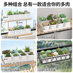 Macetas para Suculentas Qinfeng de 7.5cm, Macetas de Plástico Blancas para Escritorio, Jardinería en Casa, Juego de 4 Mini Macetas para Flores - Product Image 4