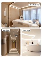 Diffuseur d'arômes mural de luxe pour petite pièce, télécommande par application, pulvérisation automatique de brume fraîche, utilisation en hôtel et en extérieur, diffuseur de parfum