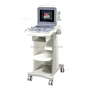 Lhk 2V Huisdier Medische Ultrasone Instrumenten Draagbare Trolley Veterinaire Echografie Machine