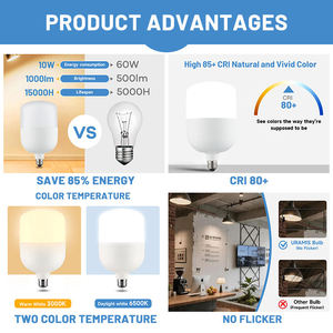 A19 LED <b>Bulb</b> E27 Base 5000K Daylight SMD Plastic 85LM/W 100000H Lifespan AC CE Certified Warehouse Use - Product Image 5