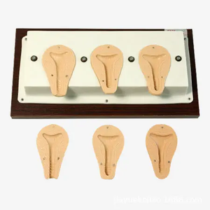 Modelo avanzado de Anatomía Humana anticonceptiva femenina, simulación de habilidades maternas, entrenamiento de ciencia médica, modelo de anticoncepción femenina - Product Image 4