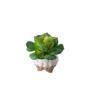 Planta Suculenta Artificial CallaFloral, Paisaje en Miniatura, Decoración de Interiores, Decoración de Bodas, Rojo Otoñal, Verde, PVC, Goma Suave - Product Image 5