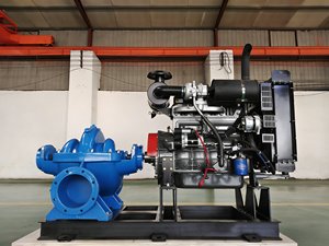 ปั๊มน้ำแนวนอน QS แบบดูดสองทาง ใช้พลังงานจากดีเซลและมอเตอร์ไฟฟ้า สำหรับบำบัดน้ำ - Product Image 6