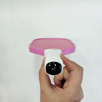 Produit d'usine modèle personnalisé Mini Pickleball Paddle Lovely Pickleball Raquette