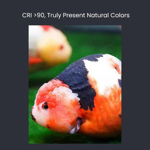 <span class=keywords><strong>MAYIN</strong></span> 100-240V Super Color 100W LED Downlight para Acuarios con Plantas, Ajuste de Temporización, Iluminación para Peces - Product Image 2