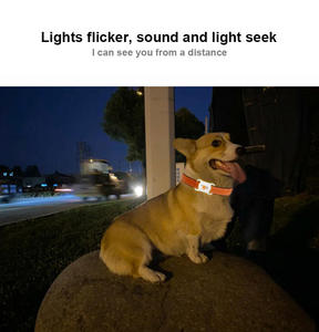 Pet Chống-Mất Theo Dõi Thiết Bị Thời Gian Thực Mèo Pet <span class=keywords><strong>Tracker</strong></span> Thiết Bị Mini Di Động Vật Nuôi Công Cụ Tìm 4G GPS Định Vị Con Chó Mèo Airtag <span class=keywords><strong>Tracker</strong></span> - Product Image 5