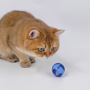 Juguete Eléctrico para Gatos con Carga USB, Diseño Original 2025, Plástico Ecológico, Batería de Larga Duración, Juguete Interactivo para Mascotas - Product Image 4