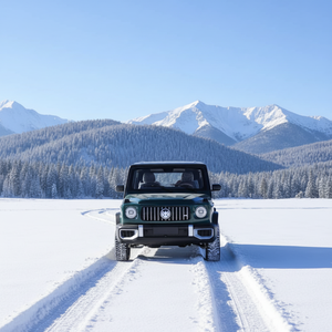 <span class=keywords><strong>Prix</strong></span> direct usine, pas de <span class=keywords><strong>permis</strong></span> de conduire requis, véhicule électrique à énergie nouvelle économique avec sièges de luxe pour la neige - Product Image 1