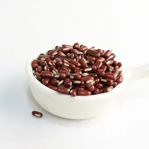 Wholesale Well Selected Vigna Small Red Beans And Rice Azuki Beans Adzuki Beans