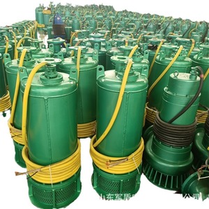 Bomba Sumergible para Arena a Prueba de Explosiones BQS Mine 600-50-160KW con Certificado de Seguridad para Carbón 660v 1140v - Product Image 5