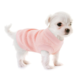 Suéter Tejido para Mascotas, Perros Pequeños, Gatos, Bichón Frisé, Yorkshire Terrier, Color Rosa Sólido, Poliéster, Ropa de Otoño - Product Image 1