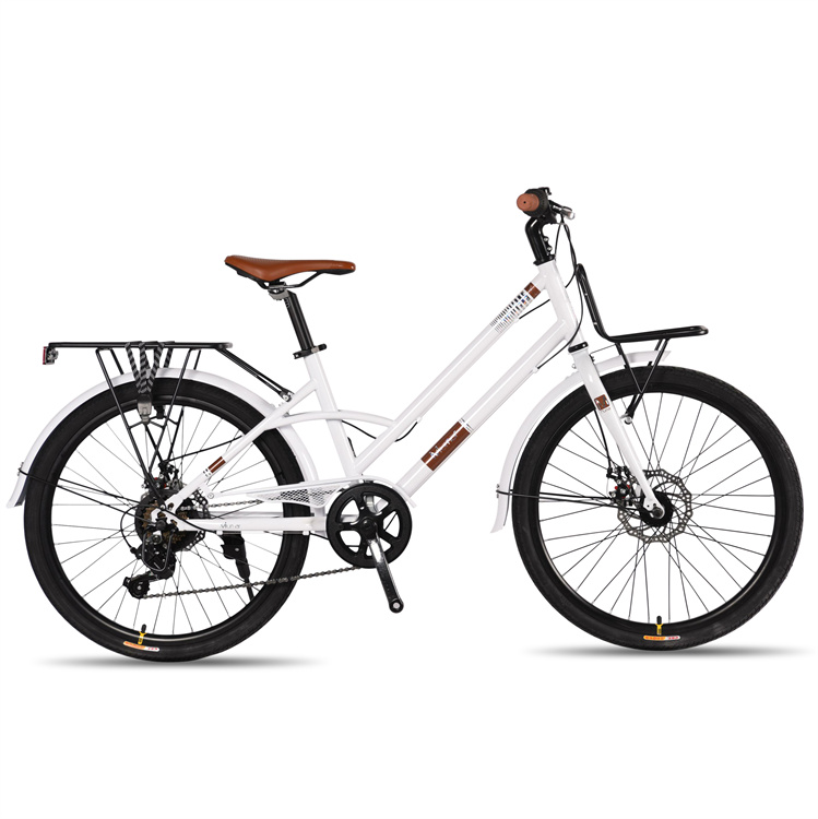 どんな地形も制覇。プレミアムな中国から自転車を輸入する性能。