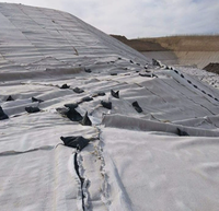 Géonetto en géocomposite HDPE 3D pour drainage, avec géotextile à fibres longues de style uni, pour le drainage des décharges, des routes et des jardins