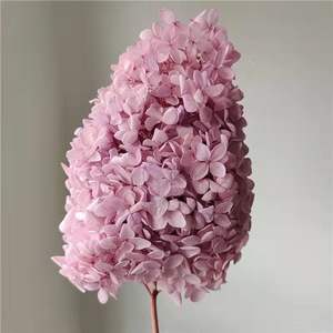 Hydrangea Arborescens stabilisé en gros 2025 – Bouquets personnalisables, couleur au choix, toute l'année, Saint-Valentin, longue durée, haute qualité - Product Image 5