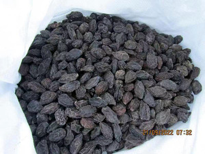 Xi Mei Frutas de ciruela secas Todo <span class=keywords><strong>Prunus</strong></span> Domestica Bayas deshidratadas para alimentos - Product Image 5