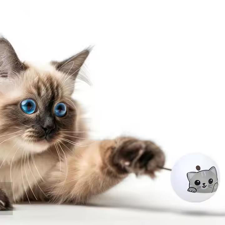 2025, новые игрушки для кошек со скукой, мяч, пластиковая игрушка для движения, скрипучая кошка, Интерактивная игрушка с колокольчиком
