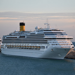 शीर्ष एफसीएल एजेंट. यू. एस. के लिए त्वरित सीमा शुल्क निकासी. - Product Image 6