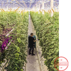 एलईडी इंटरलाइटिंग 100 2.<span class=keywords><strong>4</strong></span> मीटर 8 फीट ppppppp3.5 हाई/मिड रेड स्पेक्ट्रम हॉंगयी ई सी 65 एलईडी लाइट स्ट्रिप्स नए फैशन - Product Image 4