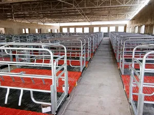 Crate And Floor Consumables In Pig Farming Equipment