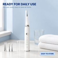 Kit de nettoyage dentaire avec détartreur et anti-plaque pour usage quotidien à domicile et en voyage