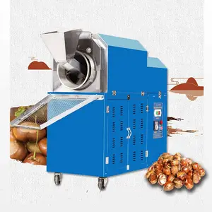 Electric 25KG/H Seeds small nuts wheat corn roaster peanut roasting machine