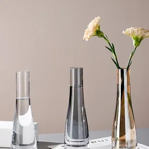 Vaso de flores nórdico, vaso de vidro francês de diâmetro pequeno para decoração hidropônica para sala de estar