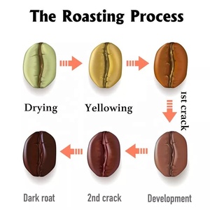 Máquina de clasificación de granos de café, dispositivo de clasificación de Color de pequeña capacidad, utilizado para multigranos - Product Image 4