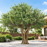 Arbre d'olivier artificiel réaliste de qualité supérieure avec tronc et olives réalistes |   Décoration intérieure de luxe pour les designers et les espaces hôteliers