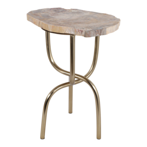 Tavolino da Cocktail in Legno Pietrificato con Base in Metallo Scultoreo, Piccolo Tavolino Laterale per Soggiorno e Camera da Letto - Product Image 4