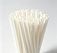 Pailles jetables biodégradables personnalisables en fibres végétales PLA et bagasse pour café, jus, bars et fêtes