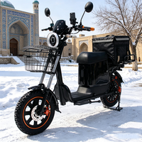 Vélo cargo électrique 60V résistant au froid LiFePO4 1000W pour livraison en Russie