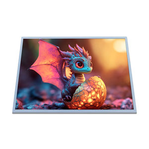 Écran de contrôle industriel BOE ZV190E0M-N10 450cd/m² haute luminosité 19,0 pouces à angle de vision complet - Product Image 4