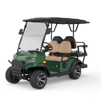 Voiturette de golf électrique personnalisée par les fabricants, 3-4 places, tout-terrain, intelligente, avec une grande autonomie