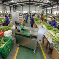 Industriële 2-kops groente-snijmachine voor bladgroenten, wortelgroenten, in plakjes, chips, schijfjes, blokjes, 1000 kg/uur, multifunctioneel, veelzijdig