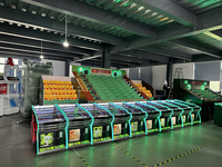 Machine de jeu d'arcade de carnaval électronique personnalisable de l'usine Rong Xiang Jeux amusants à jetons pour cinq personnes