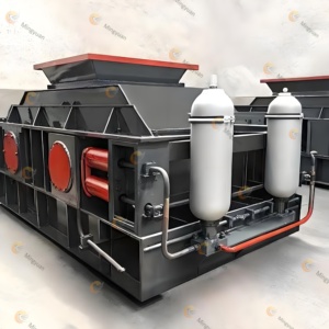 Concasseur industriel à double rouleau robuste avec PLC et moteur AC, haute efficacité, faible bruit, capacité de 25-75 t/h pour l'exploitation minière - Product Image 6