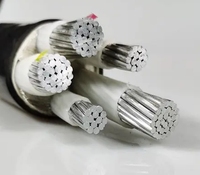 Câble d'alimentation blindé en PVC à âme en aluminium massif 4 conducteurs 120 mm 600 V pour usage en construction, marque Ninggao, vente en gros directe des fabricants