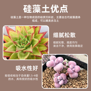 เม็ดเพอร์ไลต์ดิบ 6.6 Ph วัสดุปลูกแบบไม่ขยายตัว สำหรับไม้อวบน้ำและกล้วยไม้ - Product Image 3
