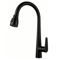 Robinet de cuisine extractible en or rose brossé, élégant mitigeur monocommande avec douchette pour cuisines aux tons chauds