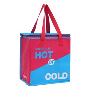 PP Woven Large Promotional <b>Cooler</b> Bags With Imprinted Logo Insulated Eco-<b>Cooler</b> Totes Factory Price - Product Image 1