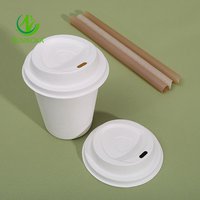 SUMKOKA 8OZ 12OZ 16OZ Gobelets jetables en bagasse de canne à sucre biodégradables et compostables pour café avec couvercles – Fabricant