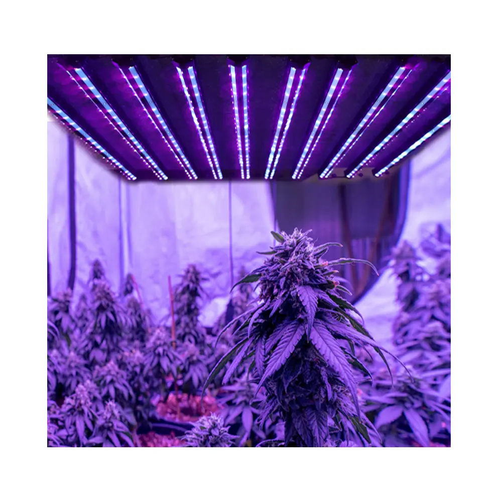Tùy chỉnh UVB + UVA 30 wát LED phát triển ánh sáng ống không thấm nước IP65 cho các loại thảo mộc hoa trái cây hoặc các nhà máy khác tăng trưởng trong nhà kính